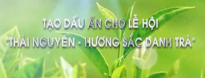 Thái Nguyên - Hương sắc danh trà