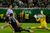 Vượt qua Hàn Quốc, Mexico giành vé đầu tiên lọt vào vòng knock out World Cup 2026
