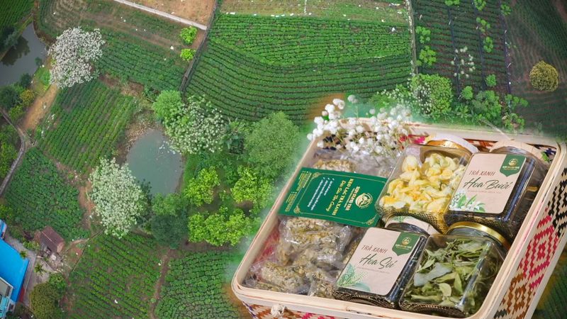 Thêm sắc hương miền trà thơm