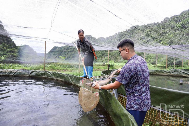 Thay đổi nếp nghĩ, cách làm của đồng bào vùng cao