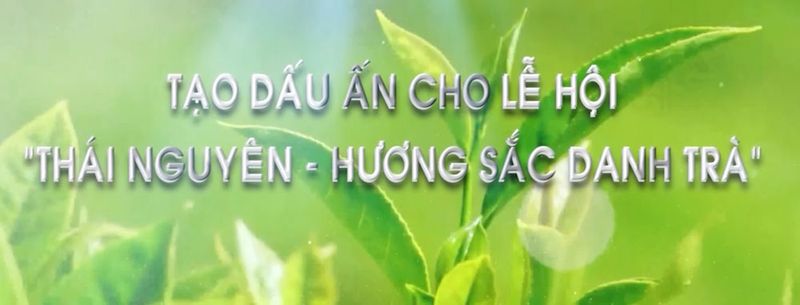 Thái Nguyên - Hương sắc danh trà